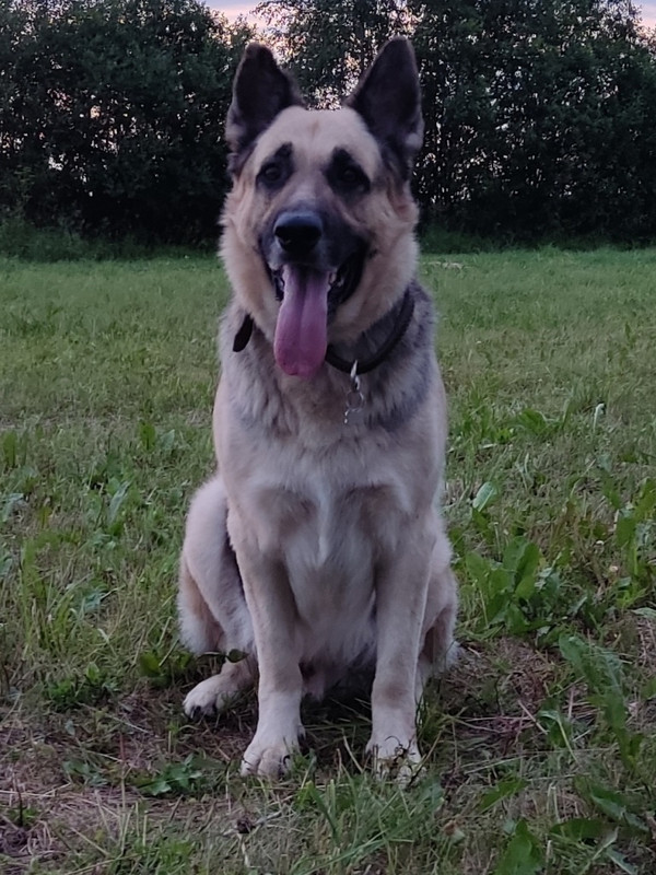 thGJsLaHqLjkIrJaB0d3CLEyC5J-jJRT6nlju4cPlnaD7pROOtzDVQ9TGrNpEtXZEIjzj7ngwh9ik0oCYjT7OXCV