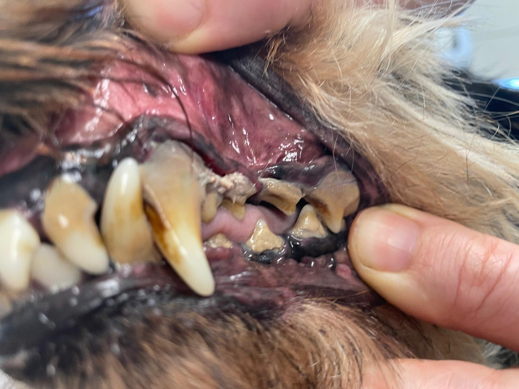 [Image: IMG-20240603-WA0014.jpg]