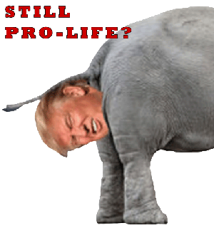 still-prolife-trump2.gif