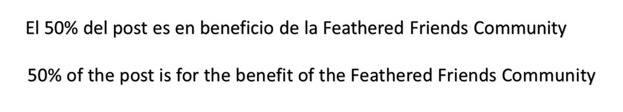 50-en-beneficio.jpg