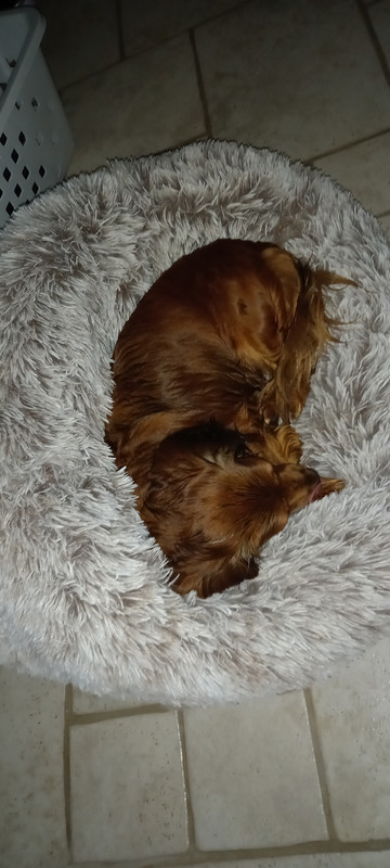 [Image: 20241006-100803.jpg]