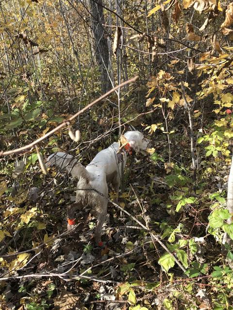 D36BF8B8-632C-4A19-9295-8306F420FE07