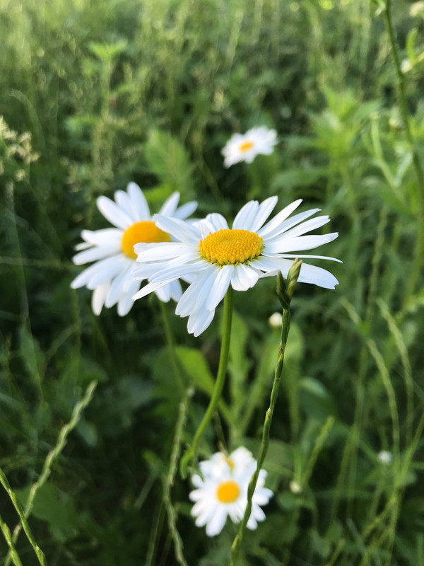 D9A5F7AE-791C-45B3-86F3-73DE646B4A2A