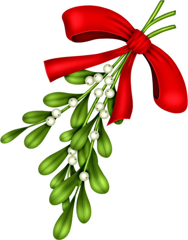 Christmasswishoffairydnmistole