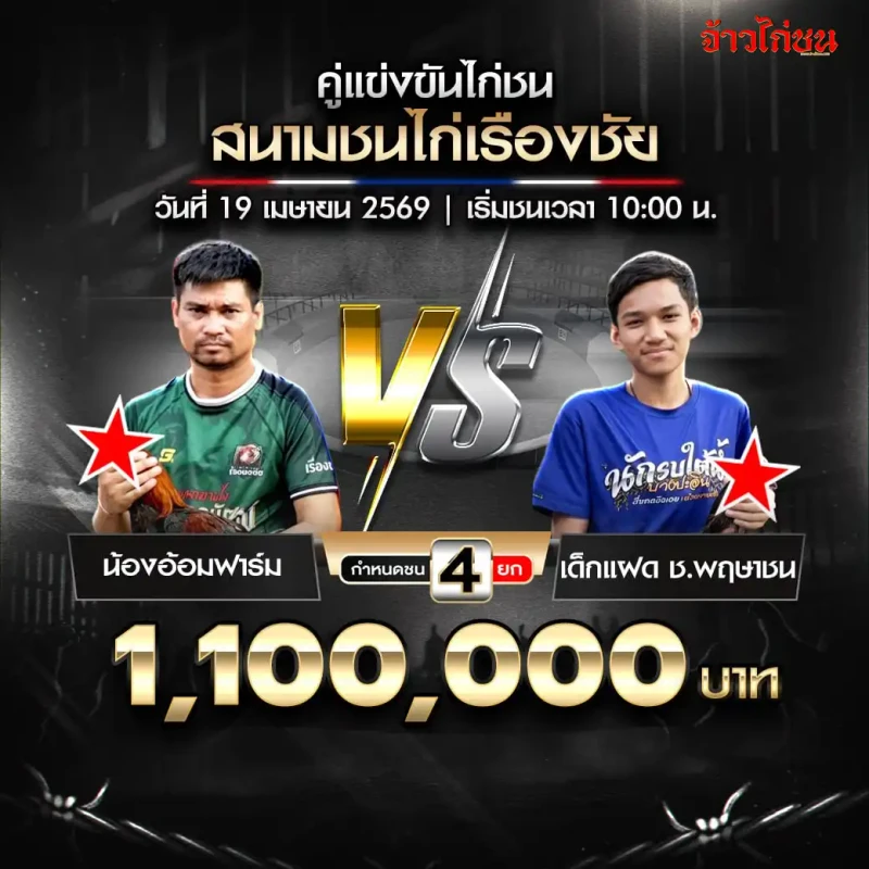 น้องอ้อมฟาร์ม vs เด็กแฝด ช.พฤษาชน สนามชนไก่เรืองชัย 19 เมษายน 2569