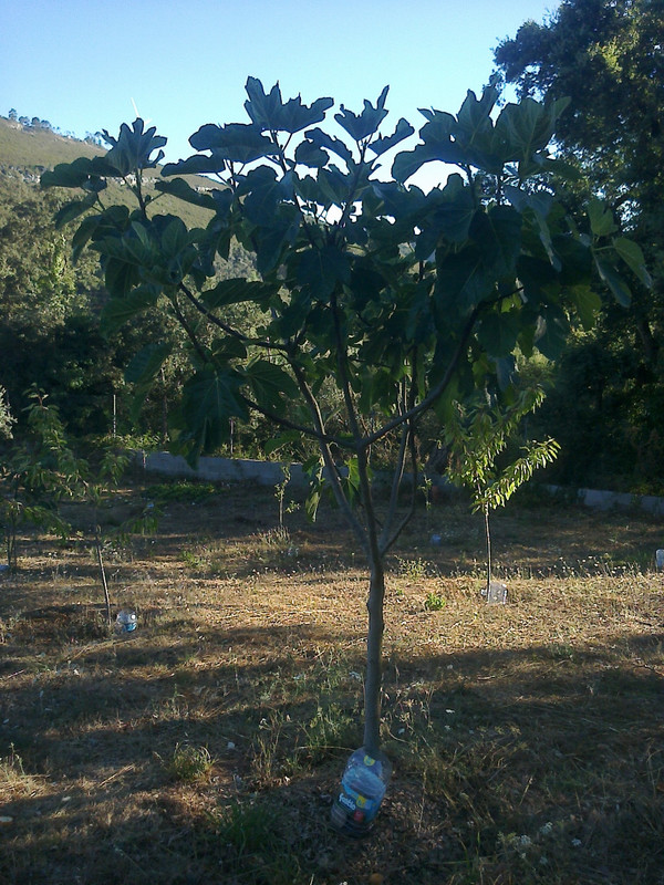 foto0134