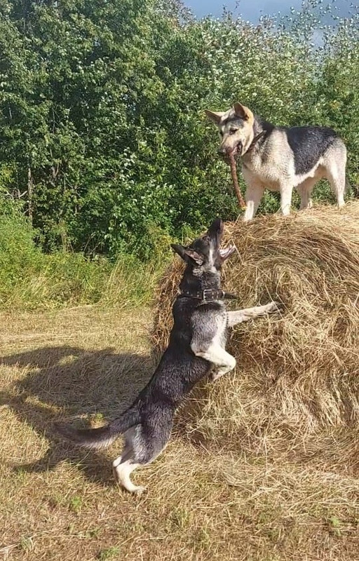 FNVOhQnNoKeJUOLFlxvM5cIftJ6fNr-OmVGhgn8BlrDoJJQY6SAItcToqkAAnIyIKaxp1_MSbZ_KaR906Bta_e4y