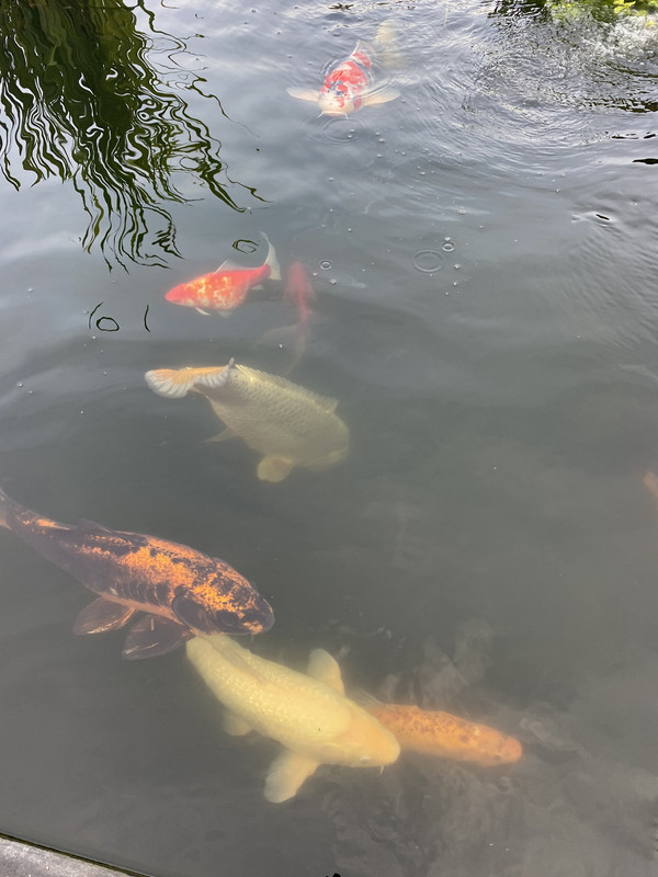 06E99884-08BB-43F1-9543-9A575B652117