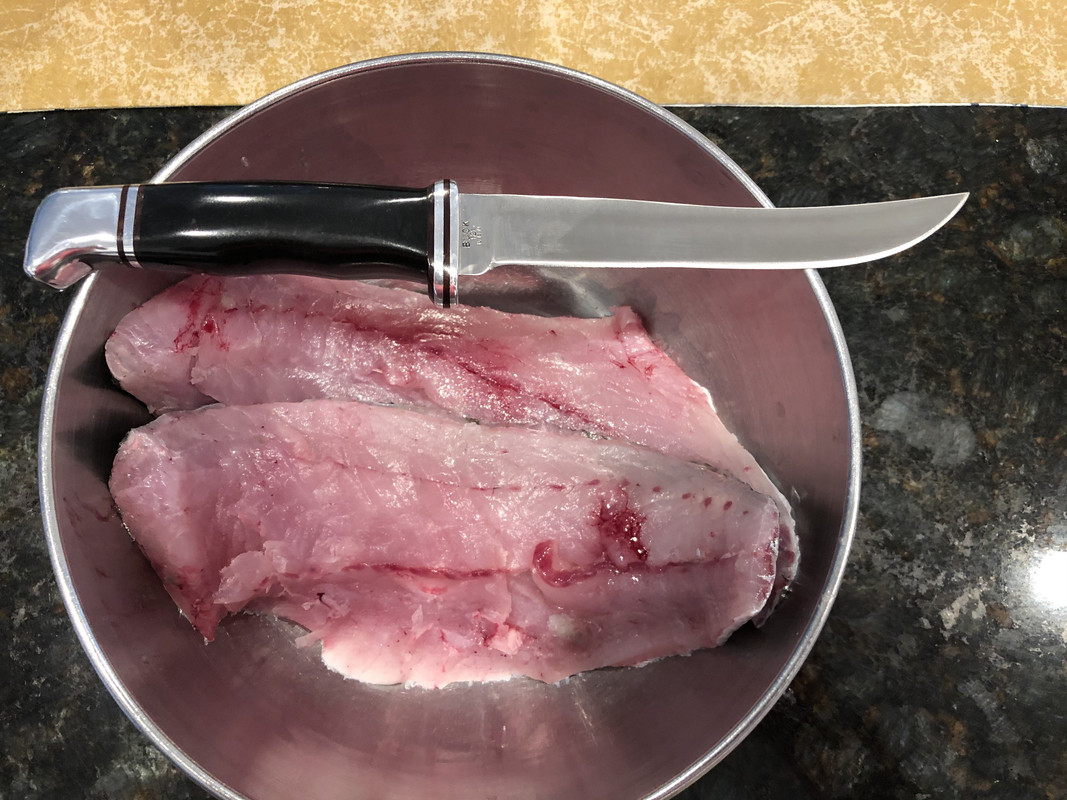 12-5-20-Buck-121-and-fillets.jpg