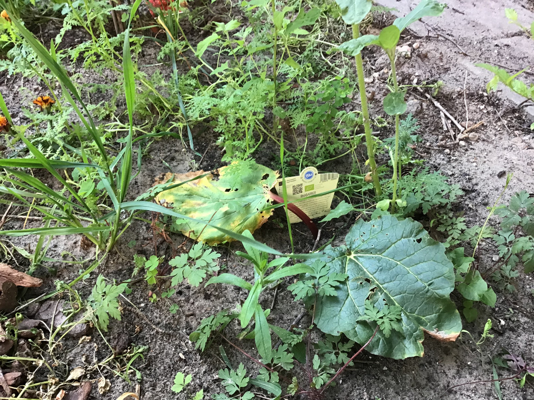 EE6359C9-E967-4C0A-94A2-99F15D613068