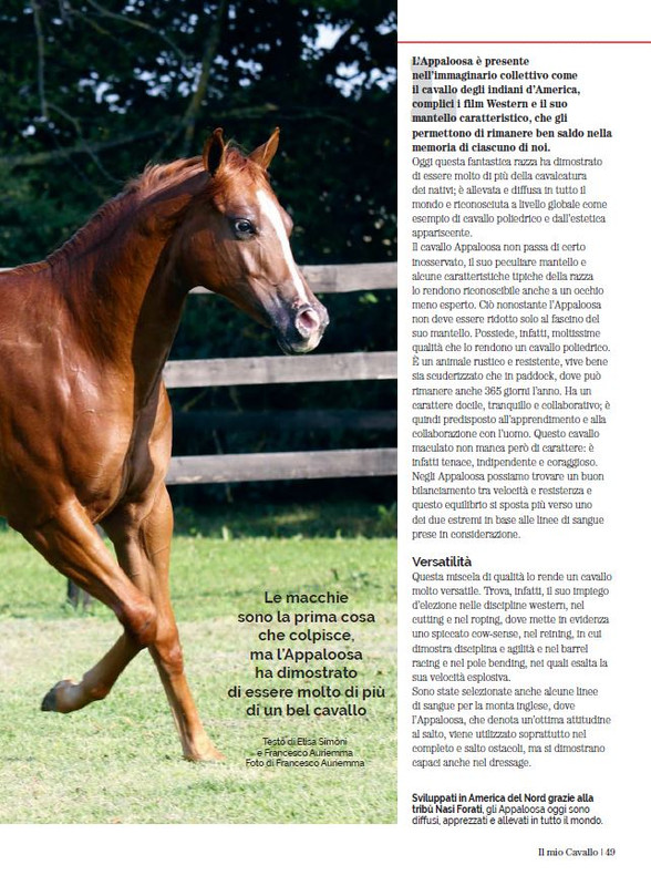 Il Mio Cav (Lug-Ago 2023) 8