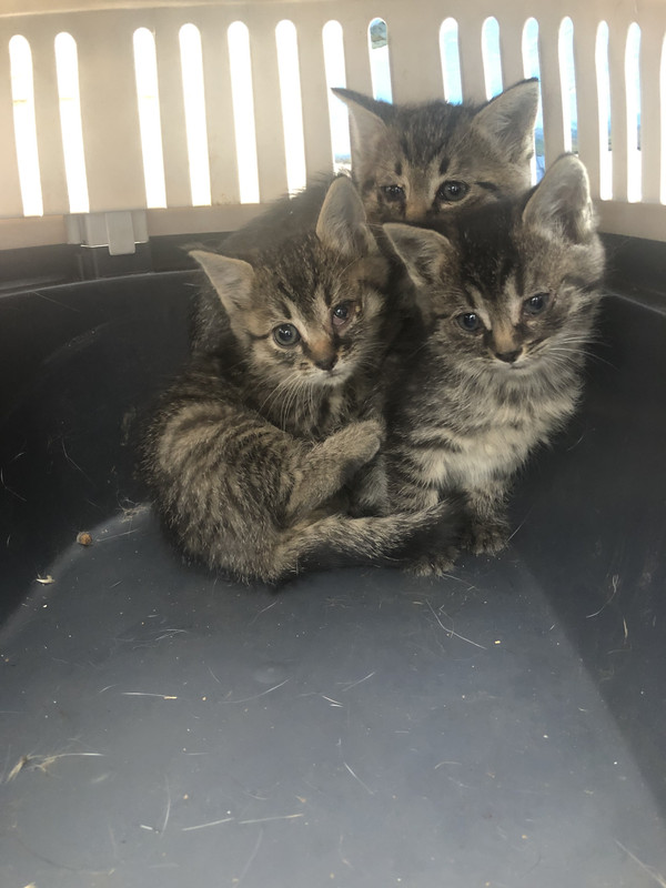 19B1E2B3-CAEE-4FA9-A8F4-49C129FEB661