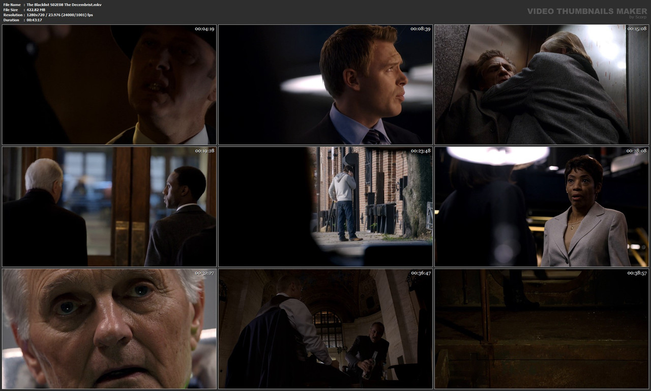 The Blacklist S02E08 The Decembrist.mkv