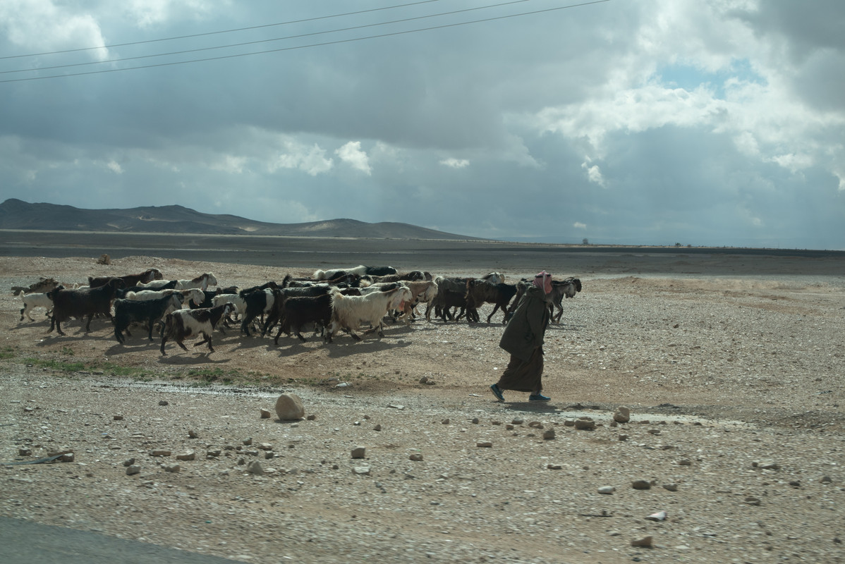 Una semanita por Jordania - Blogs de Jordania - Llegada y el Sur (7)