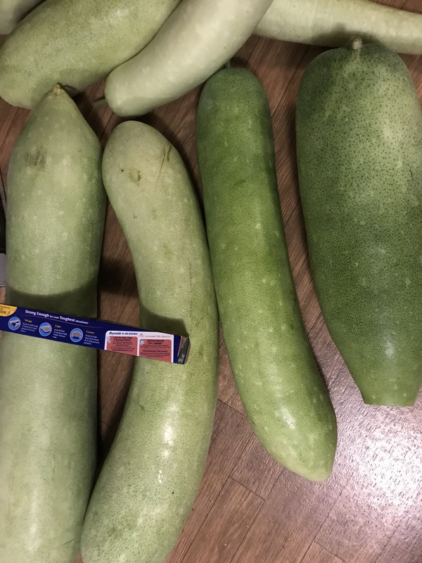 30D73773-CF20-4907-85CC-DD60E79450D8