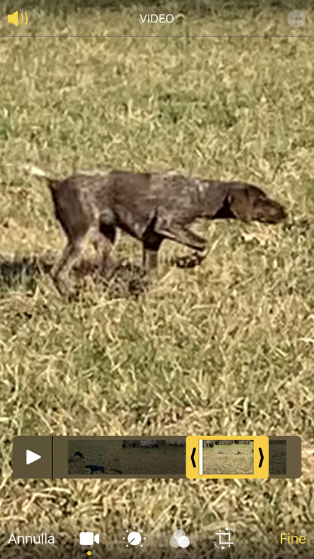 4E75E4E8-2BFF-4CE5-9E0D-3D043C99753C