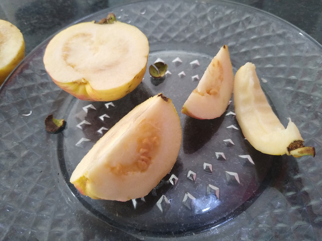 278466736_1229159214513009_7991907210567337122_n