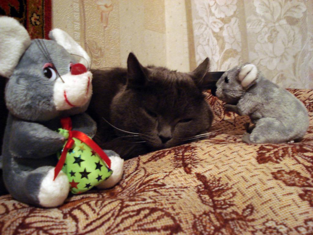 DSC09869.jpg