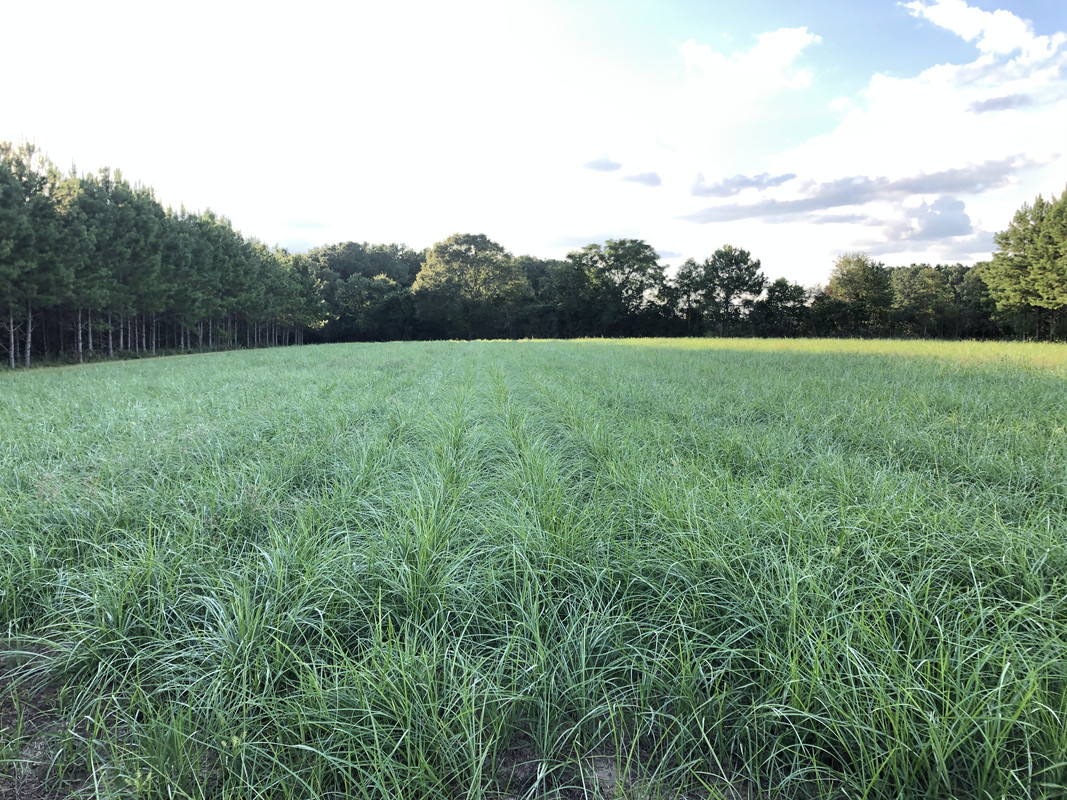 FD6152D4-FE71-48DA-B592-A43A0AFB32E8