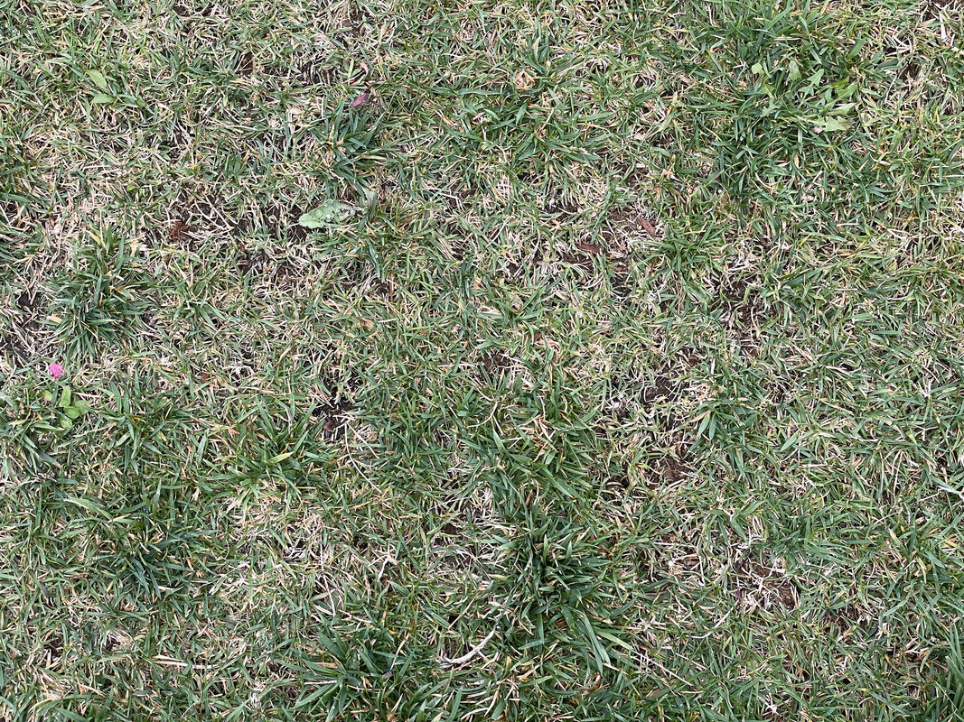 89FD1B0F-D543-4D98-8C7D-7B175C4EC8D2