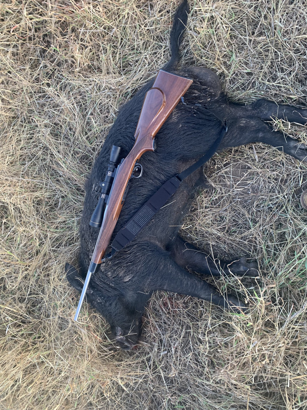 3F63C34F-E0E6-4838-BFDC-81CB2C4D335B