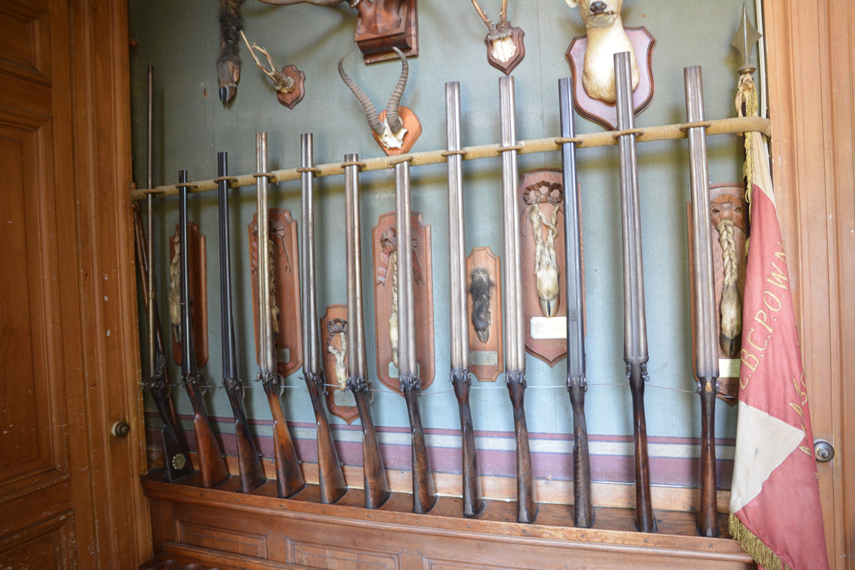 07.06 - DSC_7821 (Ater)