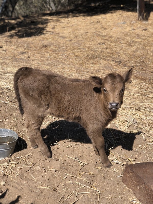 41B143D4-9A38-4C6E-9500-35E6C881D01D