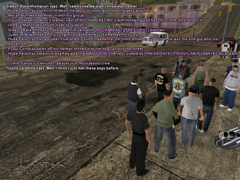 SSRoleplay312.png