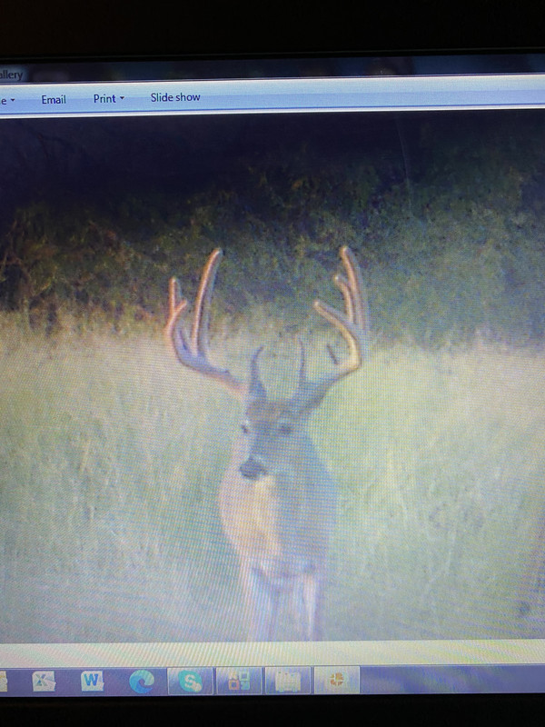 9D98A4F0-06E4-4007-A5F6-ED7BF653A58B