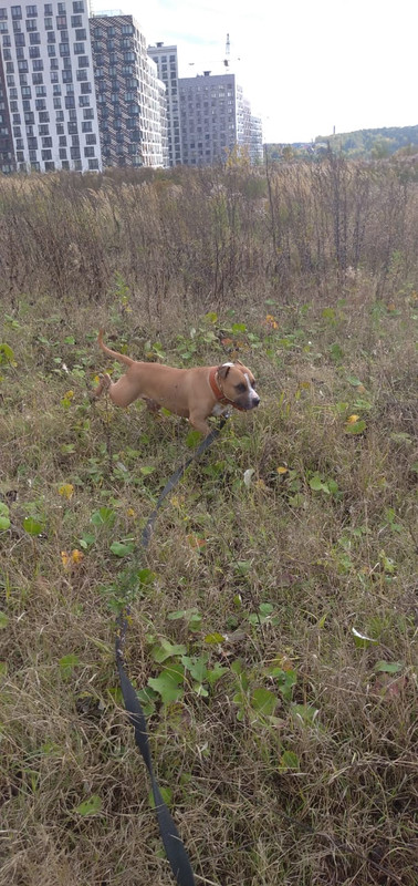 D9228695-D1B7-4DAC-88AD-5F8C8B048ADB