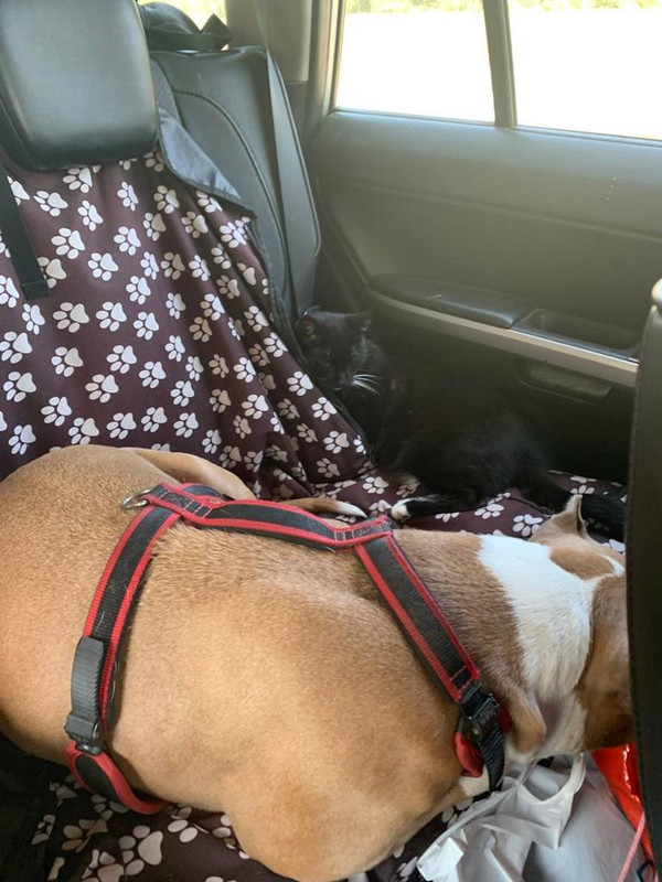 3925B32B-0EFE-4303-91FC-505EAEDFA581