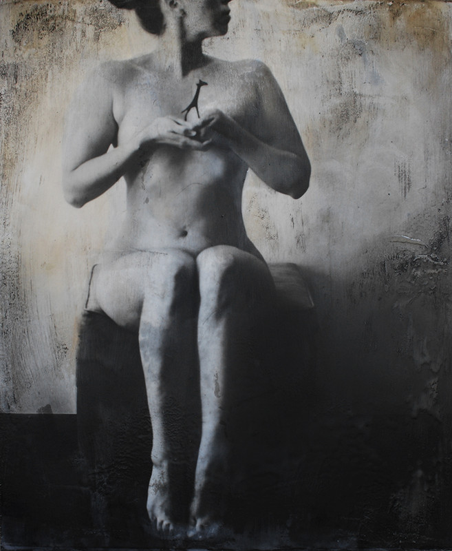 Meditations on being a Phoenix - Jessica Sommers