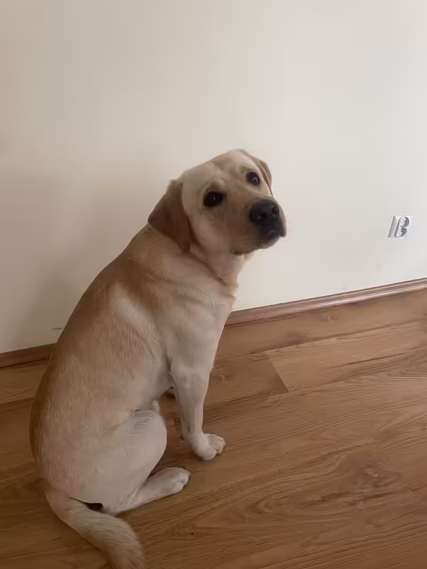 C79743B5-810E-44E8-85CD-E4CA7677B0BD