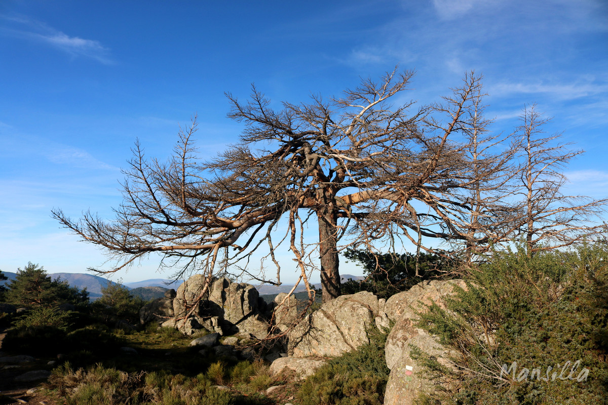 Peña del Arcipreste_04