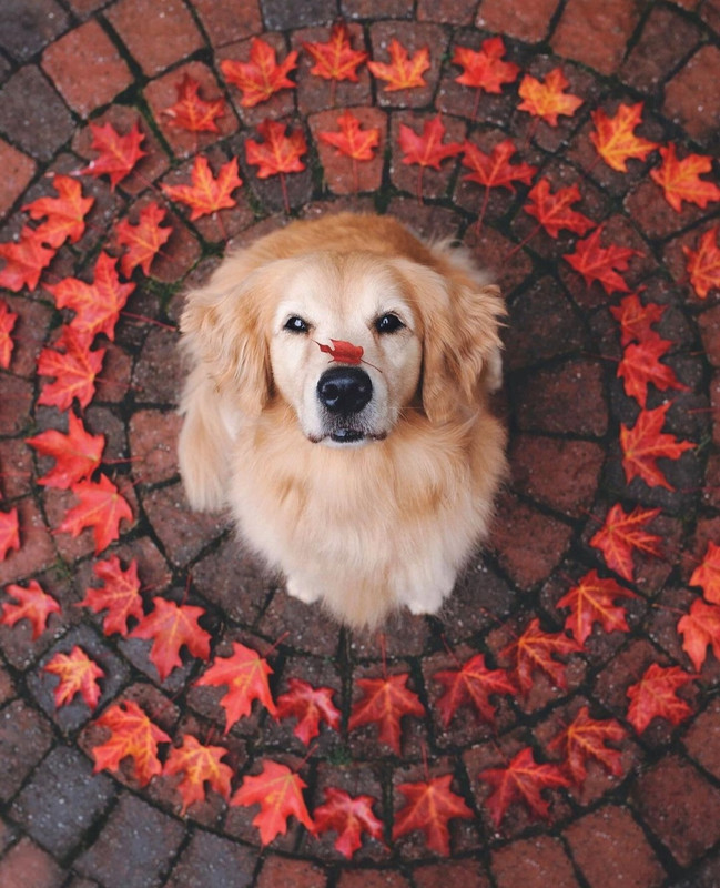 Screenshot_20231207_151103_Instagram