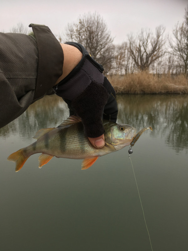 483C3079-6B67-45E9-AE5A-6325D566B455