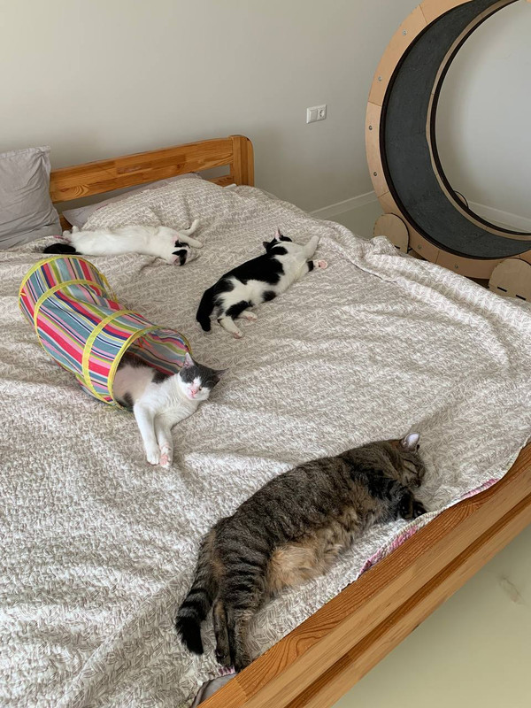 7325D54D-8907-4B75-8148-935AEE6B27B0