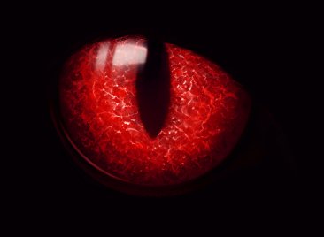 3B4D2D53-9A02-4015-B8CE-548BA3E70294