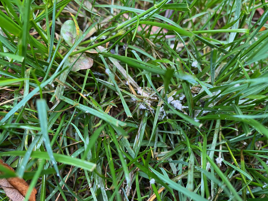 IMG 2080 — Postimages