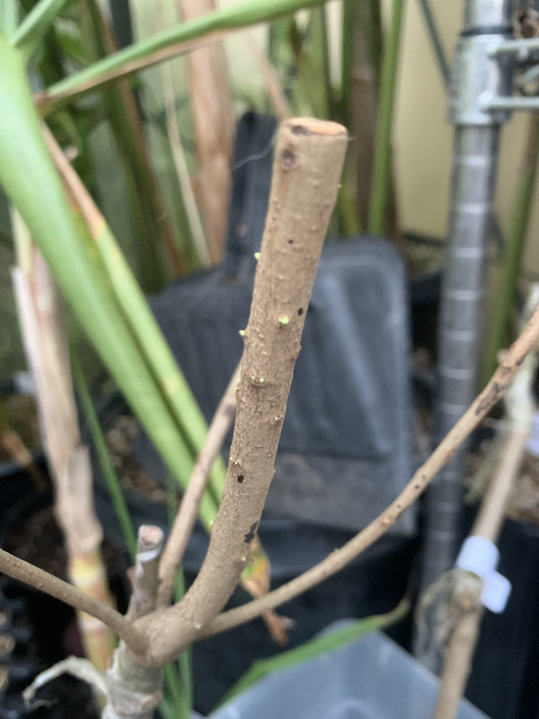 AD5EDB94-F916-4652-97EA-0F61E5E6066D