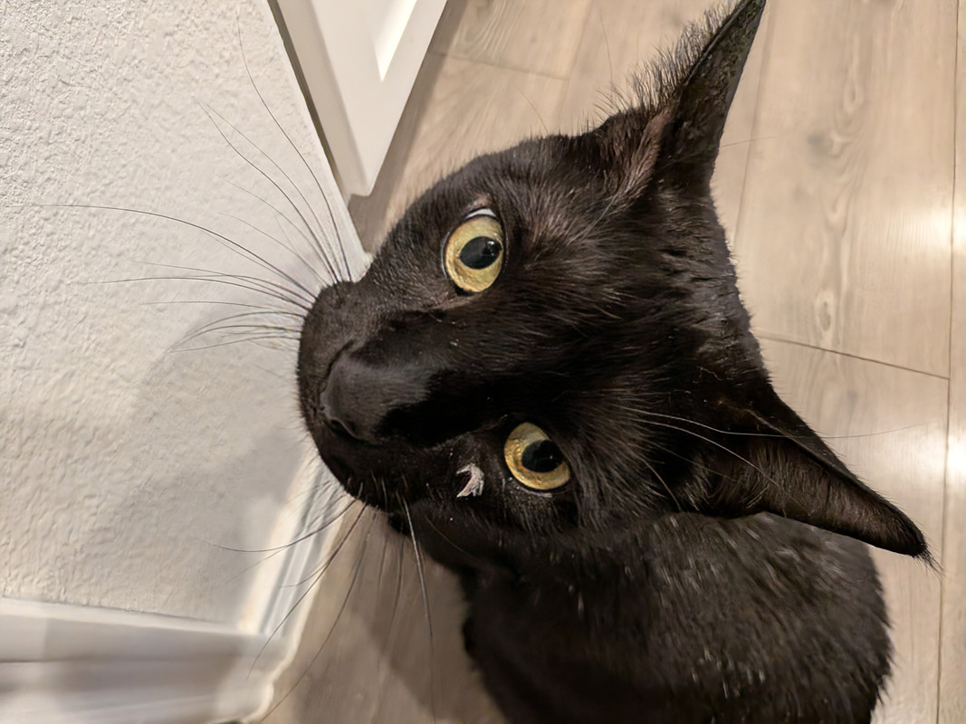 PXL_20251011_234822257~2