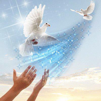 [Image: d-c-s-colombe.jpg]