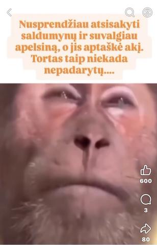 Paveikslėlis