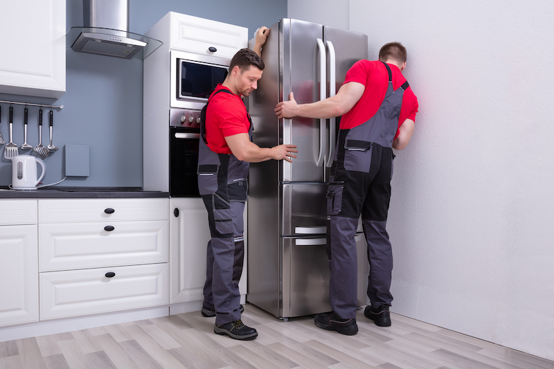 Two men delivering a fridge 