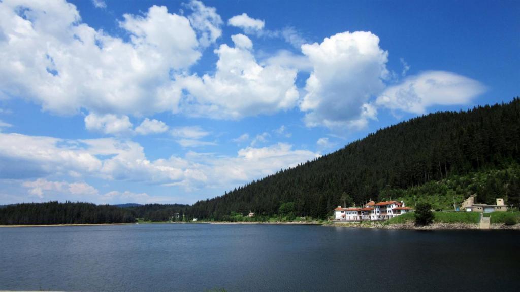 Slika