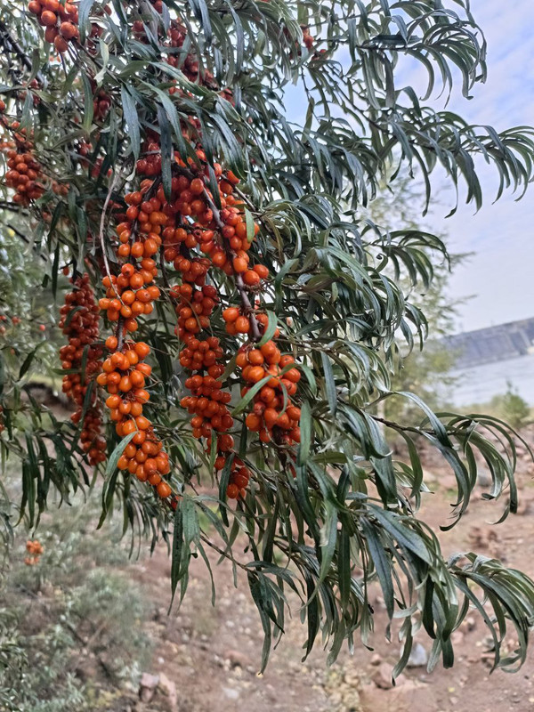 photo_2025-09-07_14-45-31 (3)