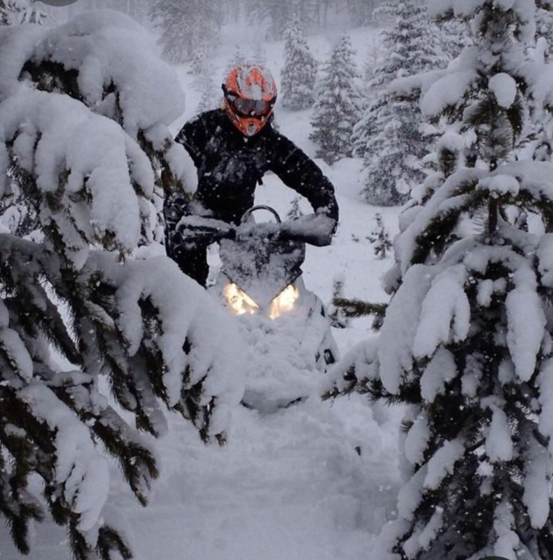 Screenshot_20230305_002639_Pinterest