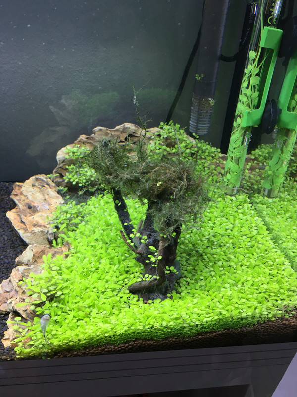 468A4FD5-C428-484C-872E-CAE42EFC8861