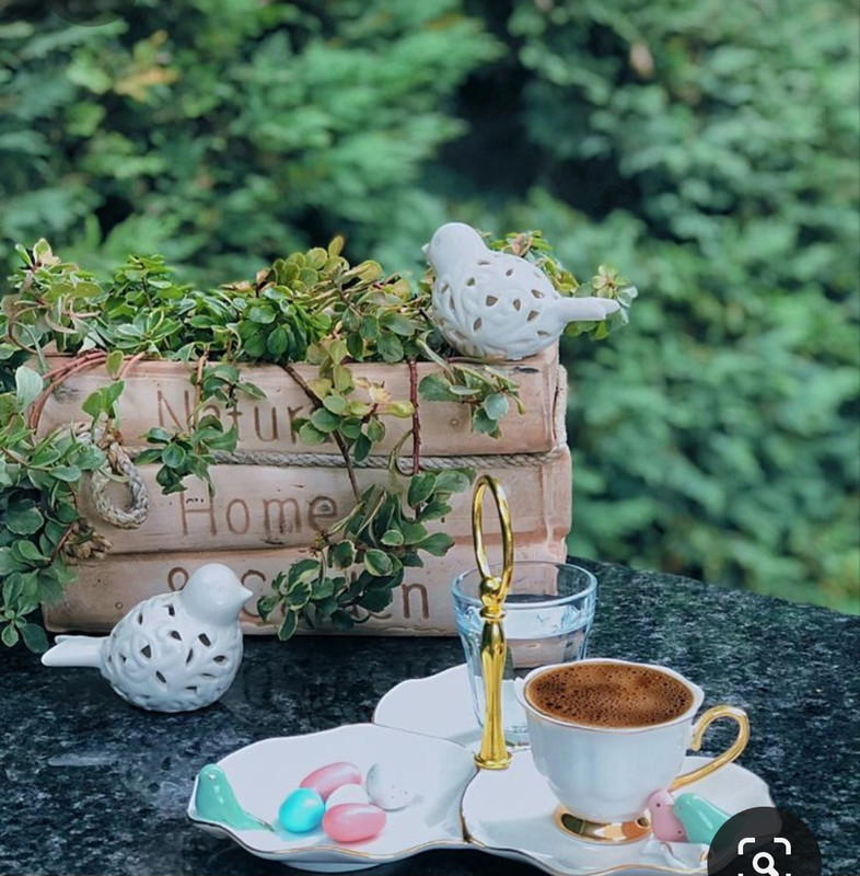 Screenshot_20230312_005303_Pinterest