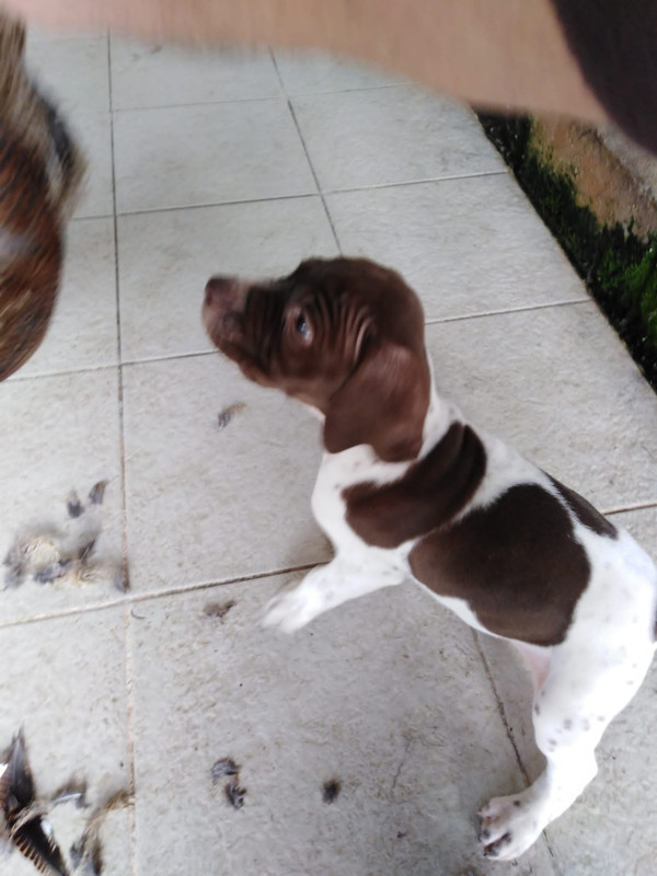 59F5F92A-9E44-4F07-8427-9C883B139F7D